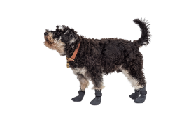 Sada čtyř sportovních psích ponožek v šedé barvě s protiskluzovými podrážkami, lehké pro pohodlí psa, snadno čistitelné.