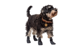 Sada čtyř sportovních psích ponožek v šedé barvě s protiskluzovými podrážkami, lehké pro pohodlí psa, protiskluzová guma.