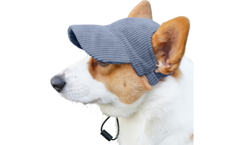 Corgi nosící prodyšnou modrou žebrovanou psí sportovní čepici, lehkou, na ochranu před sluncem během letních výletů.