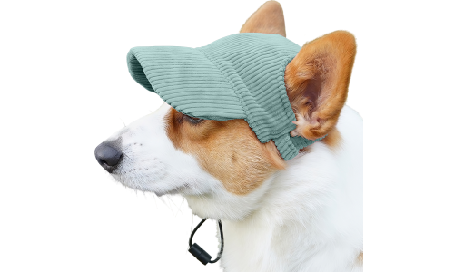 Corgi nosící prodyšnou zelenou žebrovanou psí sportovní čepici, lehkou, na ochranu před sluncem během letních výletů.