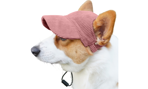 Corgi nosící prodyšnou světle růžovou žebrovanou psí sportovní čepici, lehkou, na ochranu před sluncem během letních výletů.
