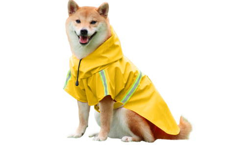 Shiba Inu v voděodolném žlutém plášti s reflexními pásky, snadné zapínání a odepínání popruhů, na deštivé procházky.
