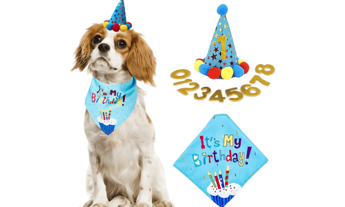 Modrý oslavný set pro psa k narozeninám s barevnou bandanou "It's My Birthday!", měkký a odolný.