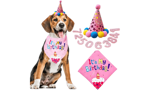 Růžový oslavný set pro psa k narozeninám s barevnou bandanou "It's My Birthday!", měkký a odolný.