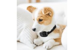 Obojek pro psa proti štěkání bez šoku s designem tlapky, nastavitelný, vhodný pro psy o hmotnosti 5 až 50 kg.