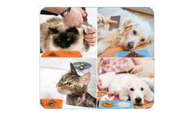 Netoxická Lízací Podložka pro Psy se Špachtlí