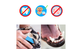 360º Silikonový Zubní Kartáček na Prst pro Psy