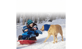 Uklidňující psí Nákrčník proti Hluku, Ochraně Uší a Zimě