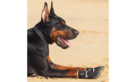 Reflexní Boty pro Psy 360° – Nepromokavé a Protiskluzové, Ochrana Tlapek