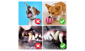 Interaktivní míček na pamlsky pro psy – gumová žvýkací hračka pro zábavu a trénink