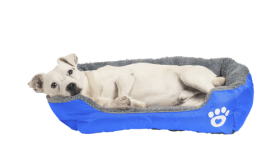 Měkký pelíšek pro psy