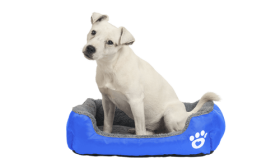 Měkký pelíšek pro psy