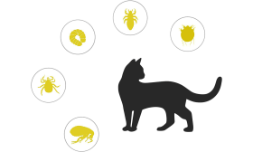 Přírodní obojek proti blechám a klíčím pro kočky, cílená ochrana proti blechám, klíčím, larvám, veškerým parazitům a komárům.