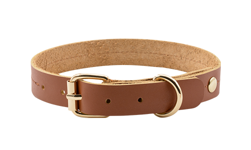 Špičkový Obojek Pro Psy z Pravé Kůže Vysoce kvalitní kožený psí obojek v barvě hnědé, délka 27-34 cm, šířka 2,2 cm, se zlatou přezkou a D-kroužkem.